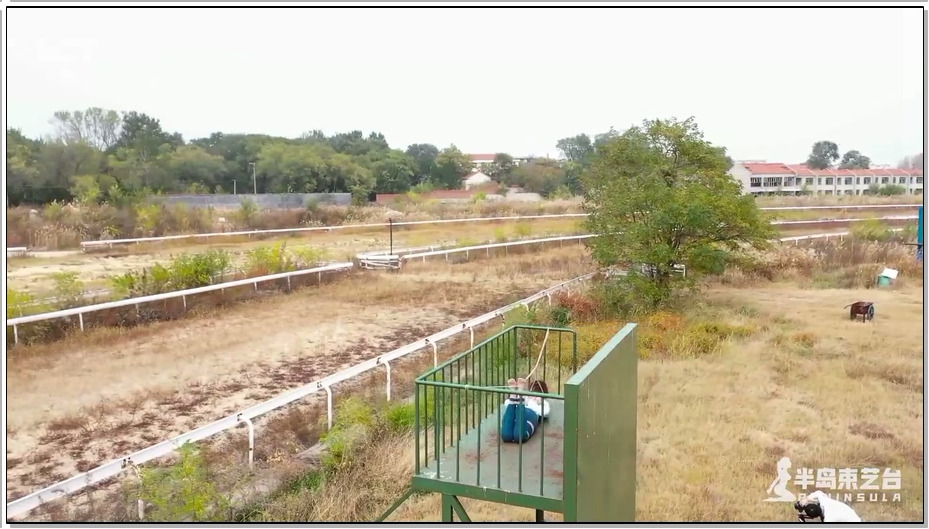 【半岛束艺】鹿野游乐园计划（一）高处不胜寒