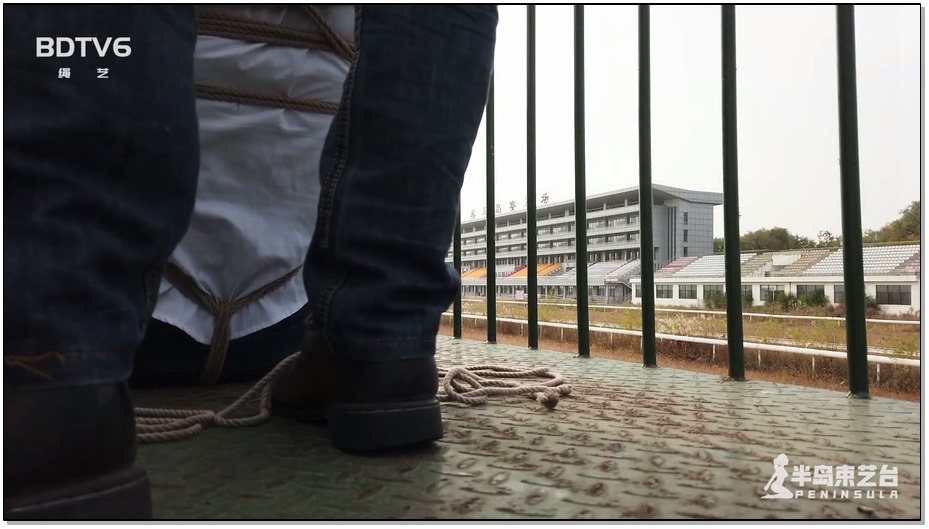 【半岛束艺】鹿野游乐园计划（一）高处不胜寒