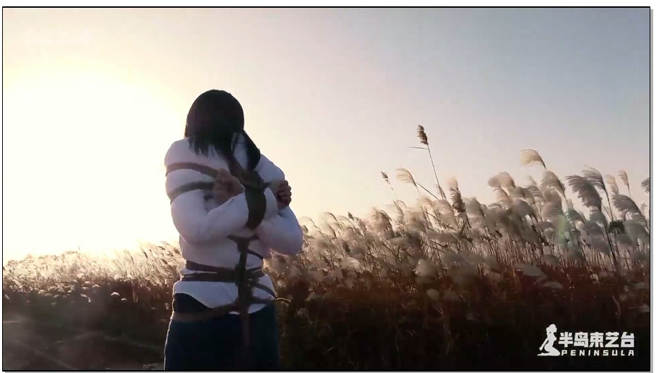 【半岛束艺】漫长的跑道和沉重的负担