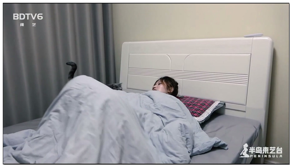 【半岛束艺】木马计划