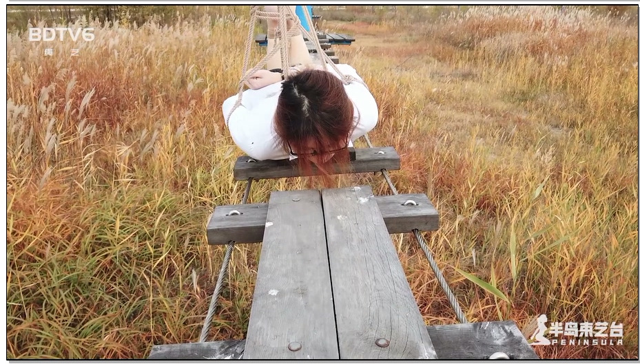 【半岛束艺】鹿野游乐园计划 命悬一线