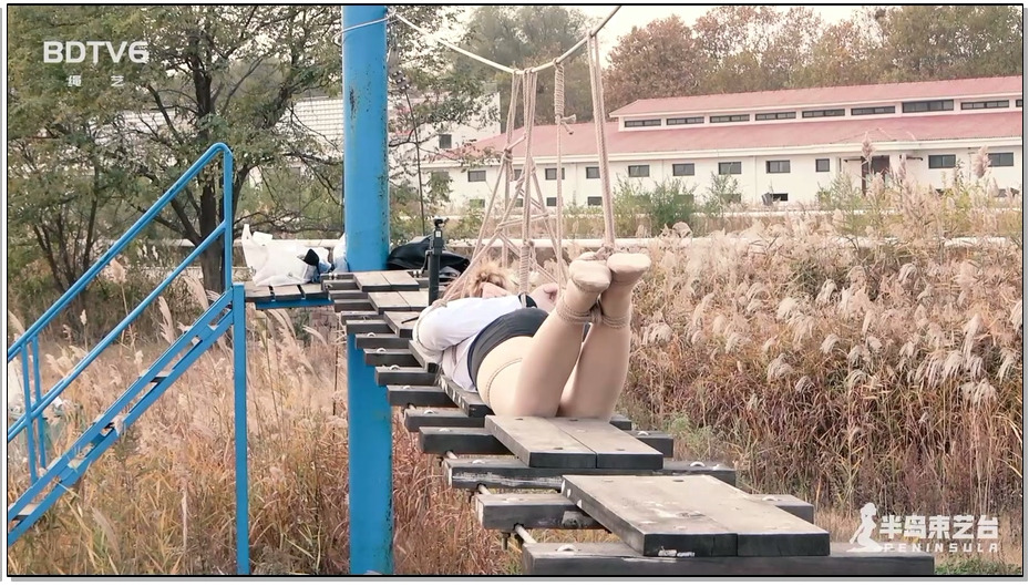 【半岛束艺】鹿野游乐园计划 命悬一线