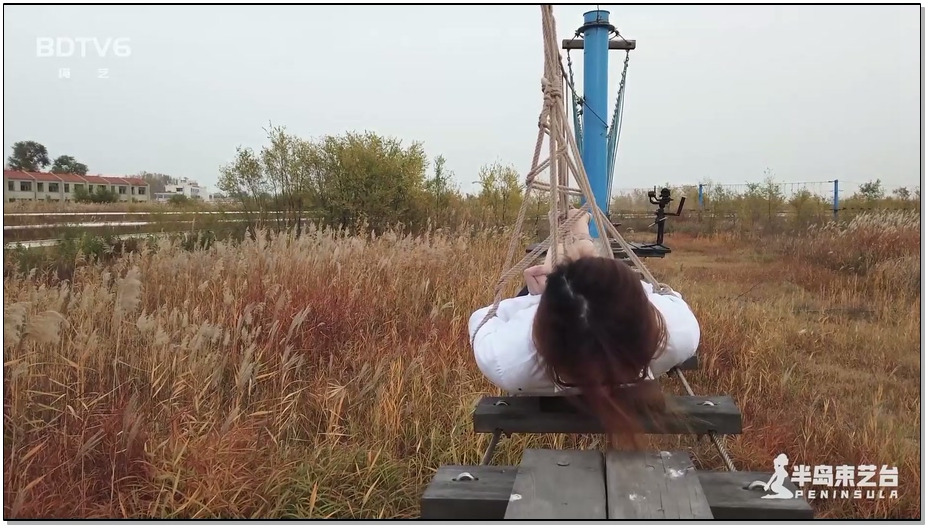 【半岛束艺】鹿野游乐园计划 命悬一线