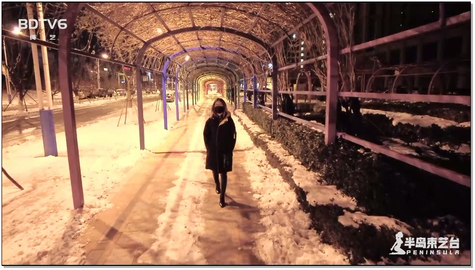 【半岛束艺】雪地丽影：鹿野大衣内绑堵嘴全副武装夜游