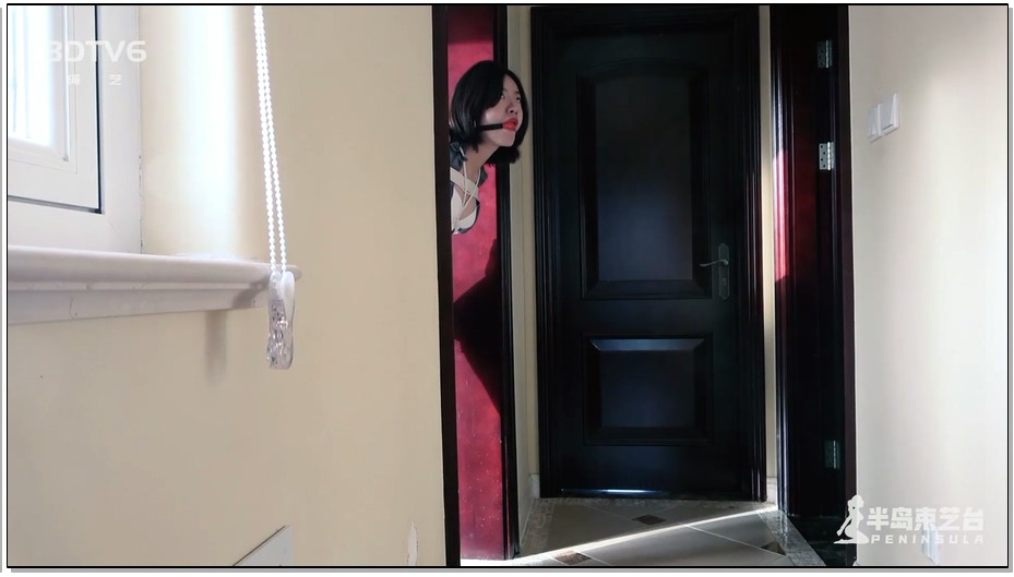 【半岛束艺】丹麦客户定拍：典型的欧式抢劫剧情 上