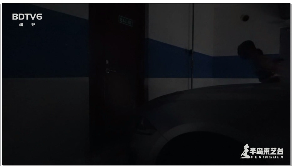 【半岛束艺】战地2021尤里的复仇