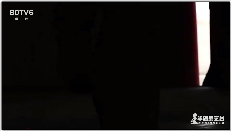 【半岛束艺】战地2021尤里的复仇