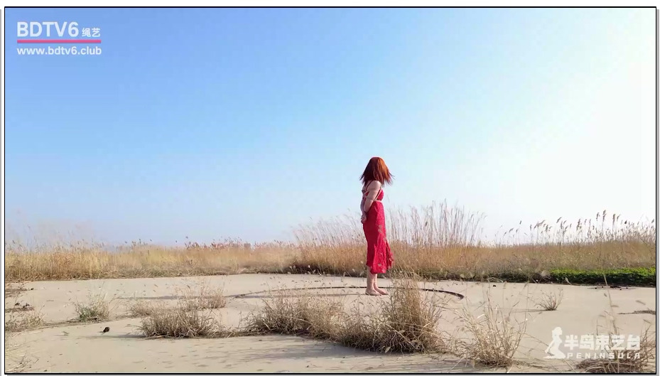 【半岛束艺】苏心 寂静的荒野放置