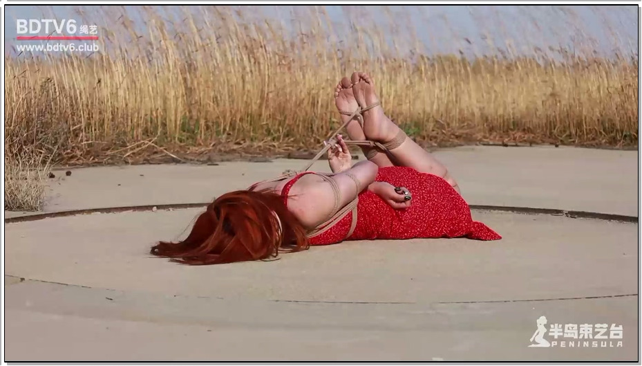 【半岛束艺】苏心 寂静的荒野放置