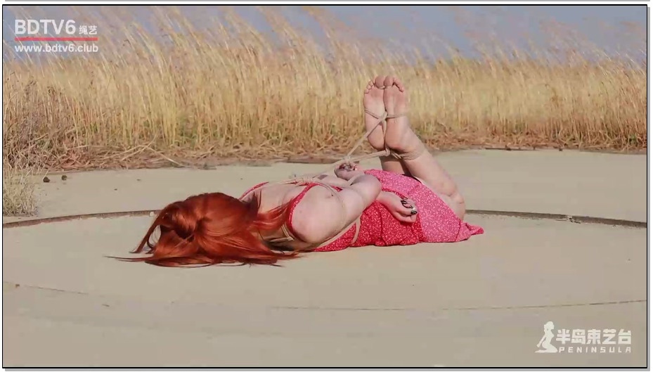 【半岛束艺】苏心 寂静的荒野放置