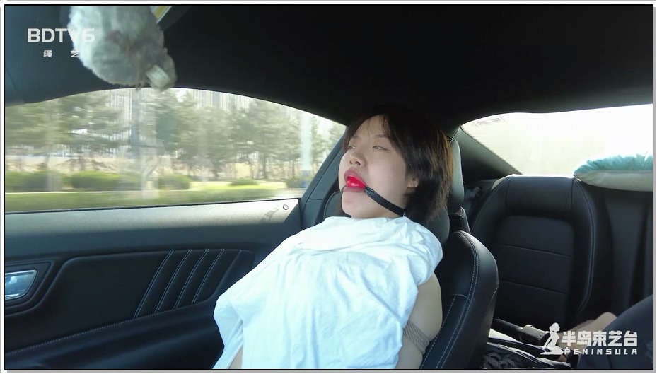 【半岛束艺】海语 羞了一路的副驾驶