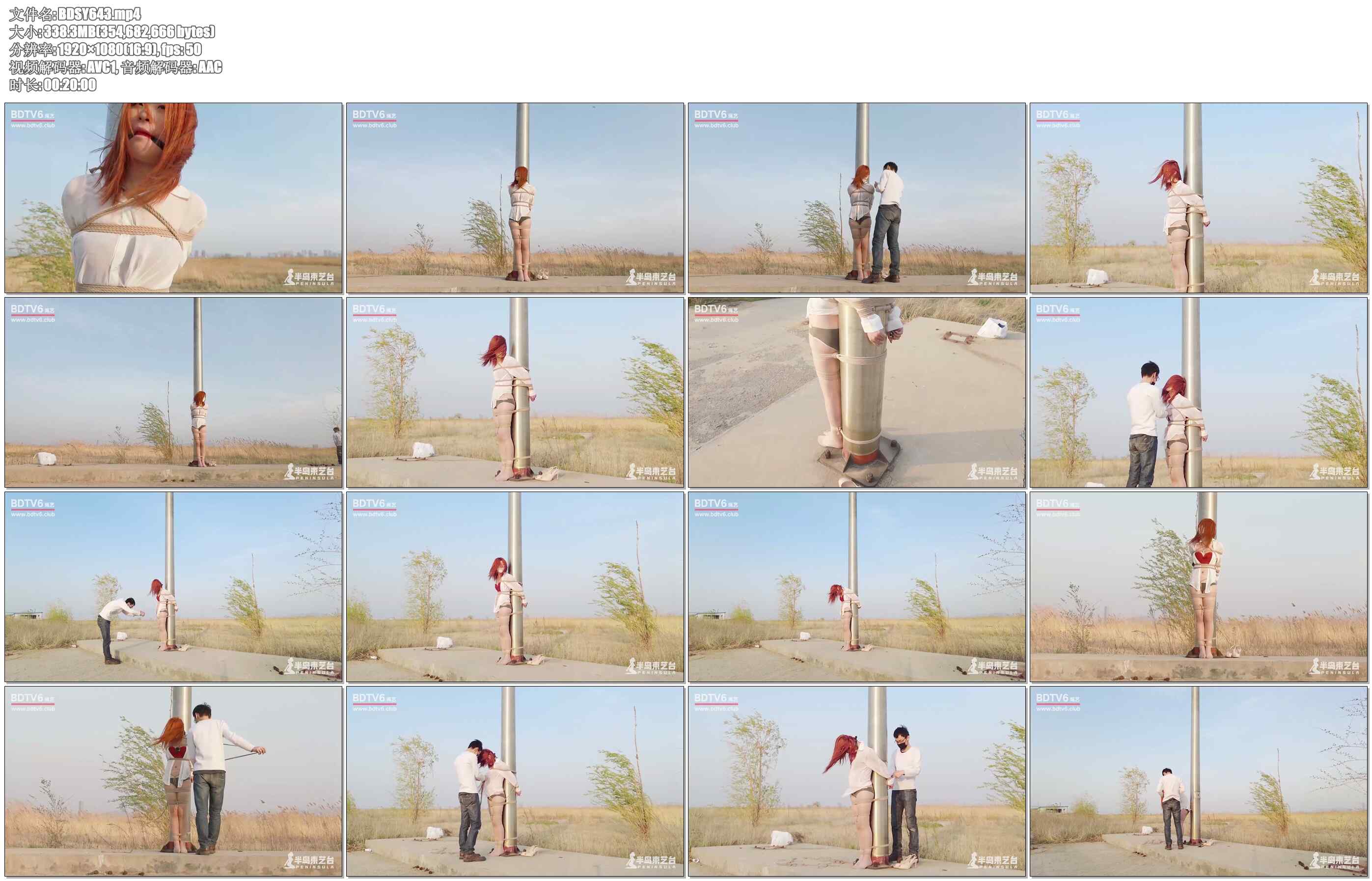 【半岛束艺】寂寞的旗杆和冻感冒的苏心