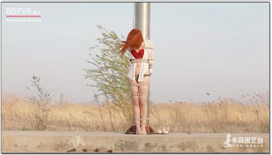 【半岛束艺】寂寞的旗杆和冻感冒的苏心