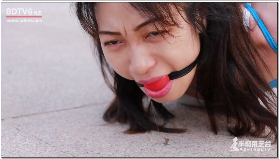 【半岛束艺】RE风岛式驷马户外放置