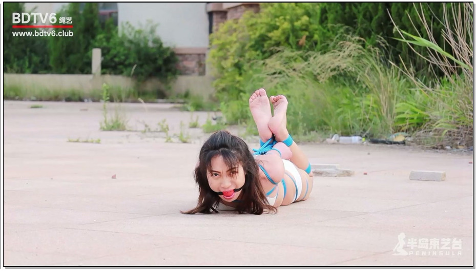 【半岛束艺】RE风岛式驷马户外放置