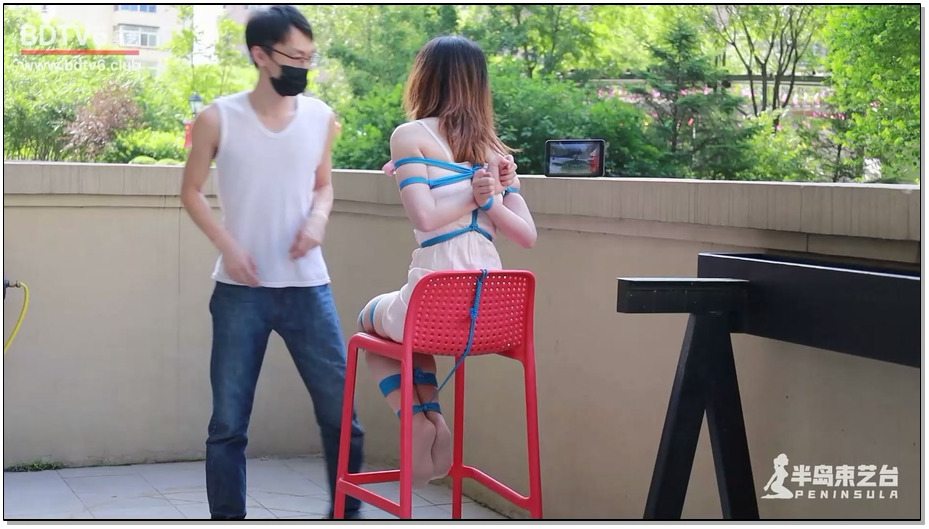 【半岛束艺】春色满园关不住，一枝蓝杏出墙来