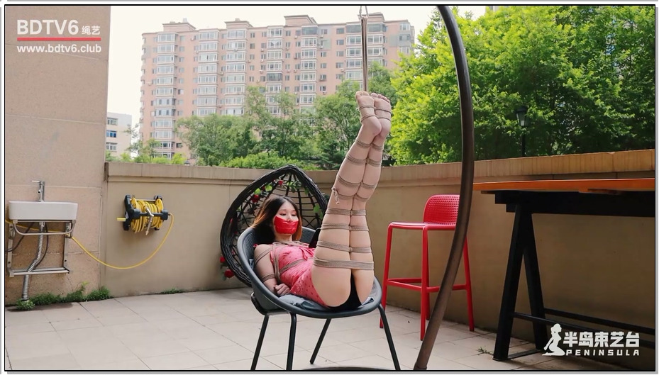 【半岛束艺】如此享受午后庭院时光
