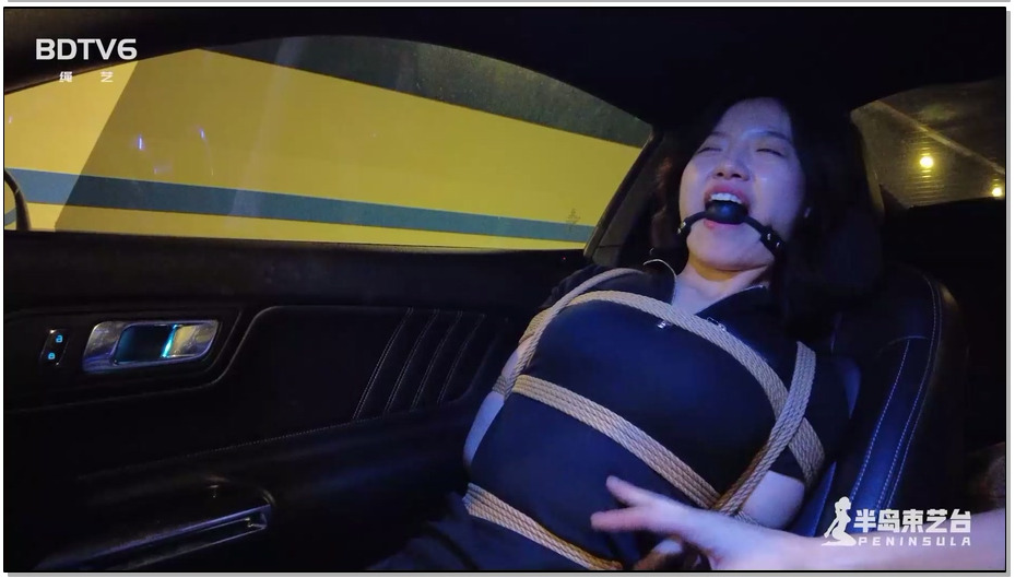 【半岛束艺】海语夜行回家记