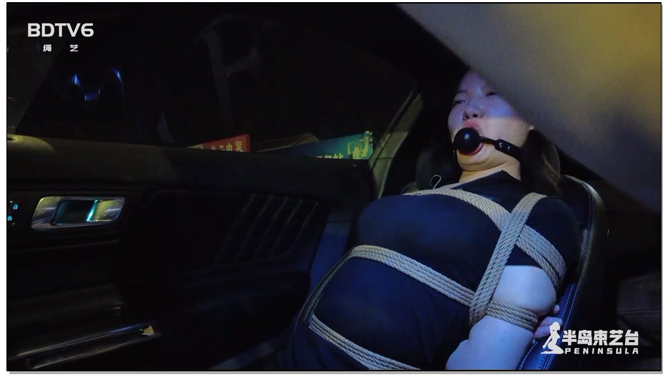 【半岛束艺】海语夜行回家记