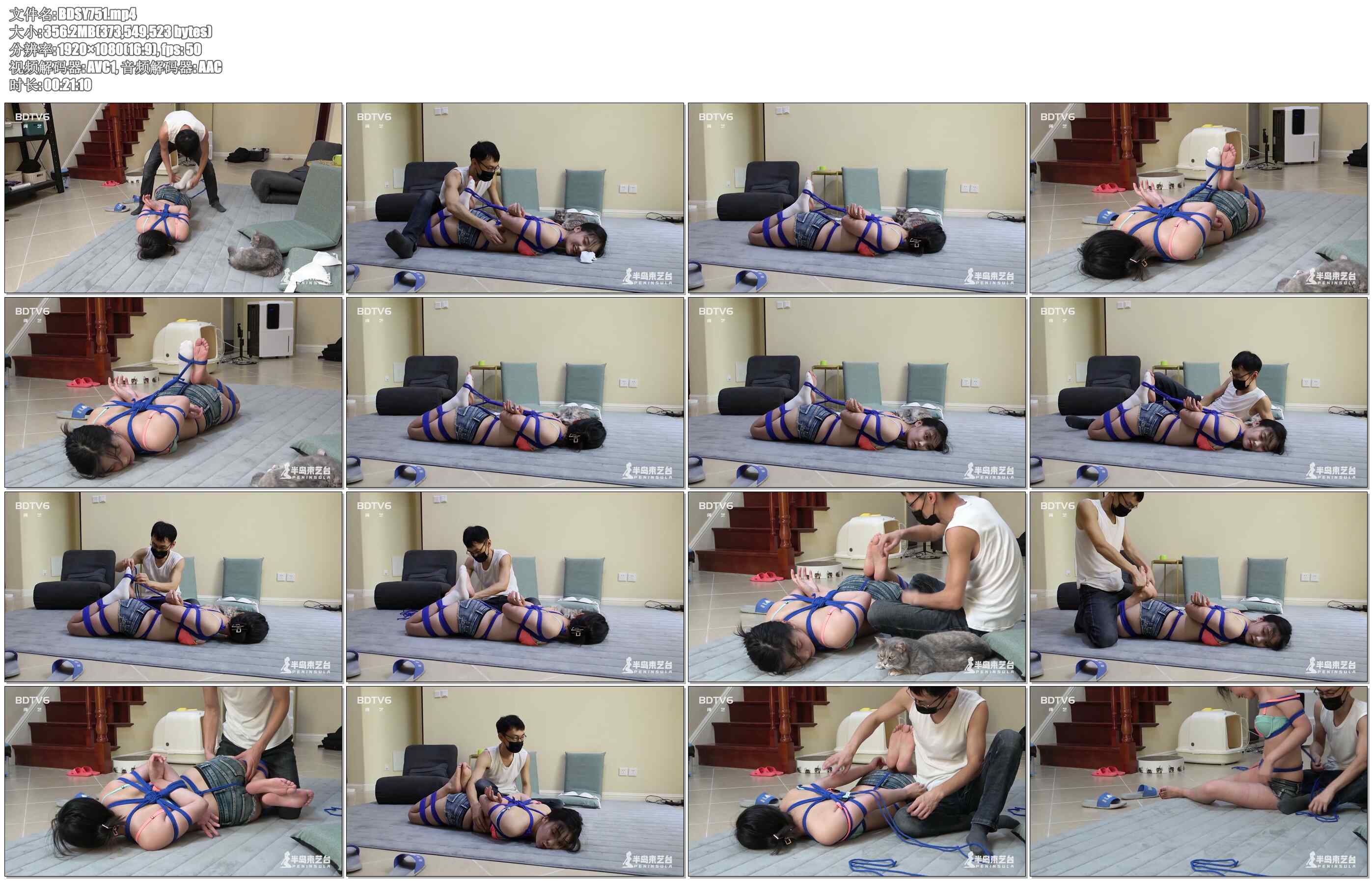 【半岛束艺】小晚半岛日常 