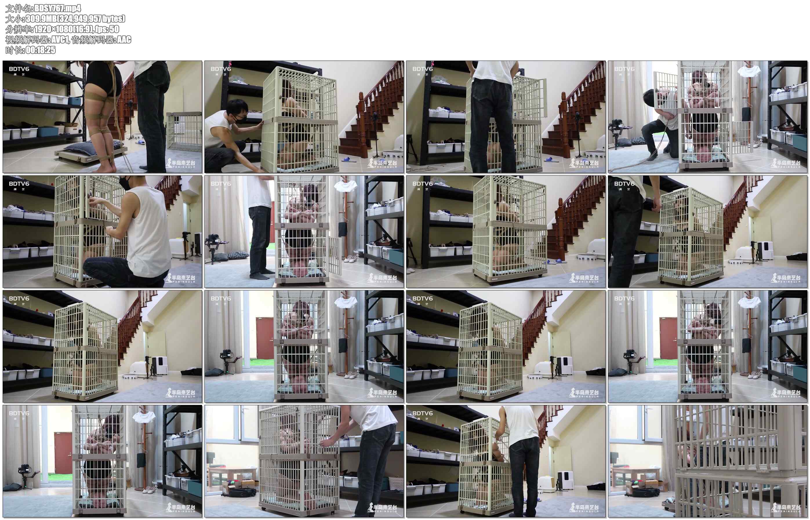 【半岛束艺】笼女雪碧