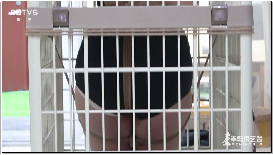 【半岛束艺】笼女雪碧