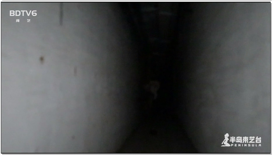 【半岛束艺】佐伊 不要向陌生人求助