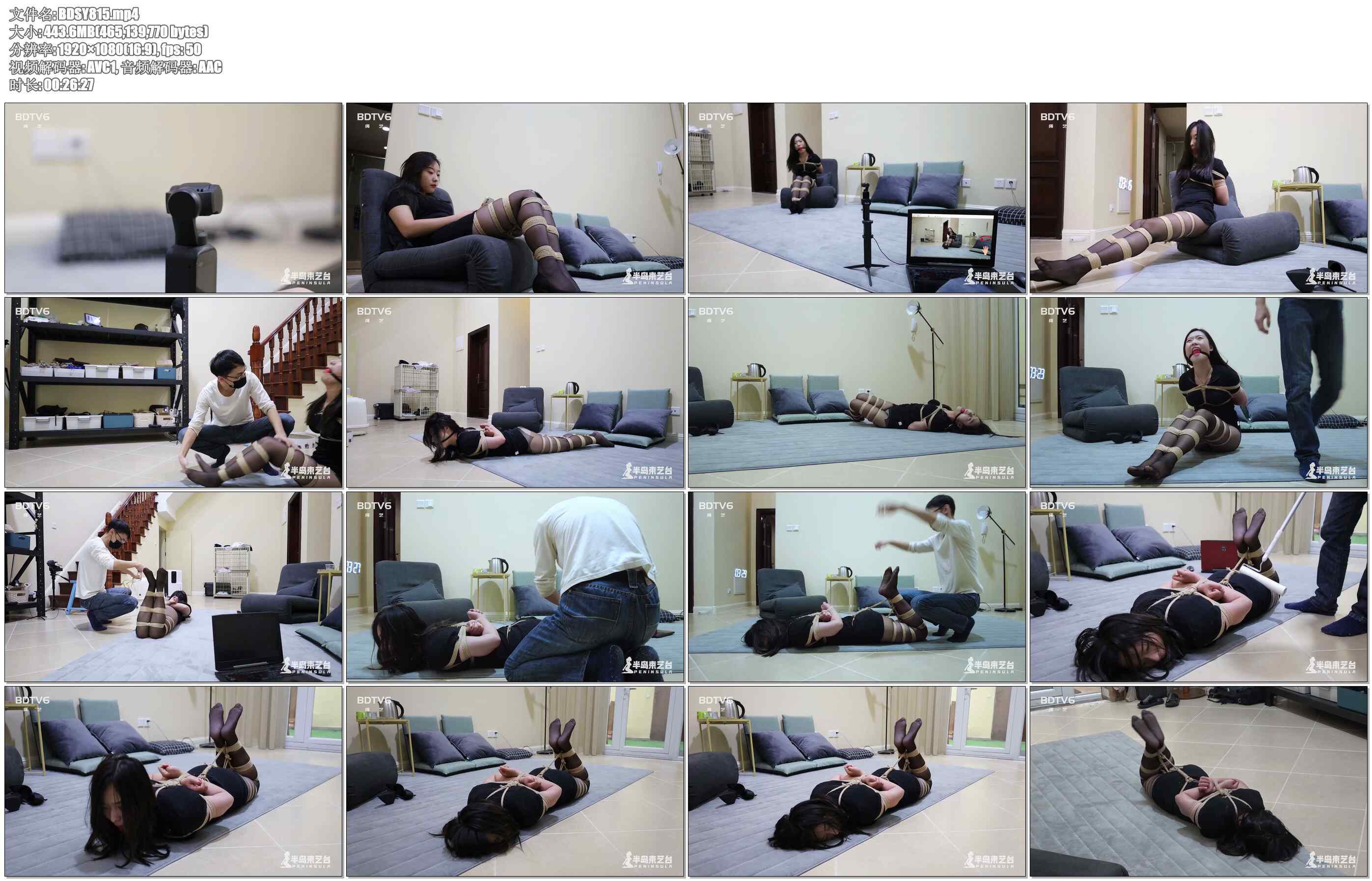 【半岛束艺】奎因 半岛黑科技：人偶控制