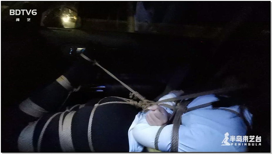 【半岛束艺】海语驷马回家记