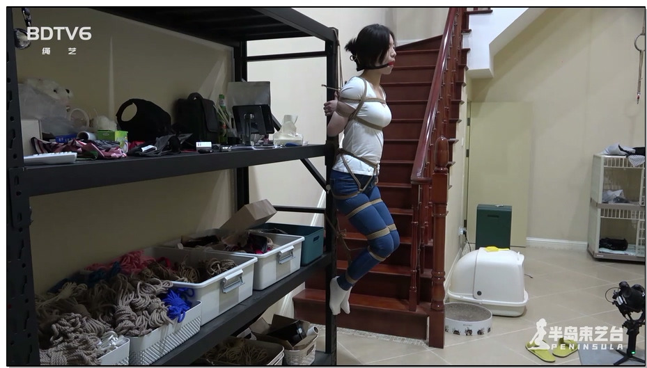 【半岛束艺】海语 吸墙式悬吊