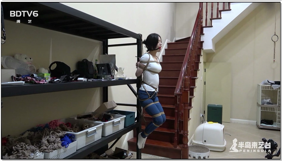 【半岛束艺】海语 吸墙式悬吊