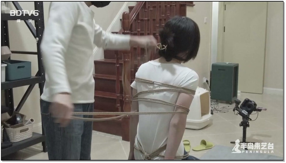 【半岛束艺】海语 吸墙式悬吊