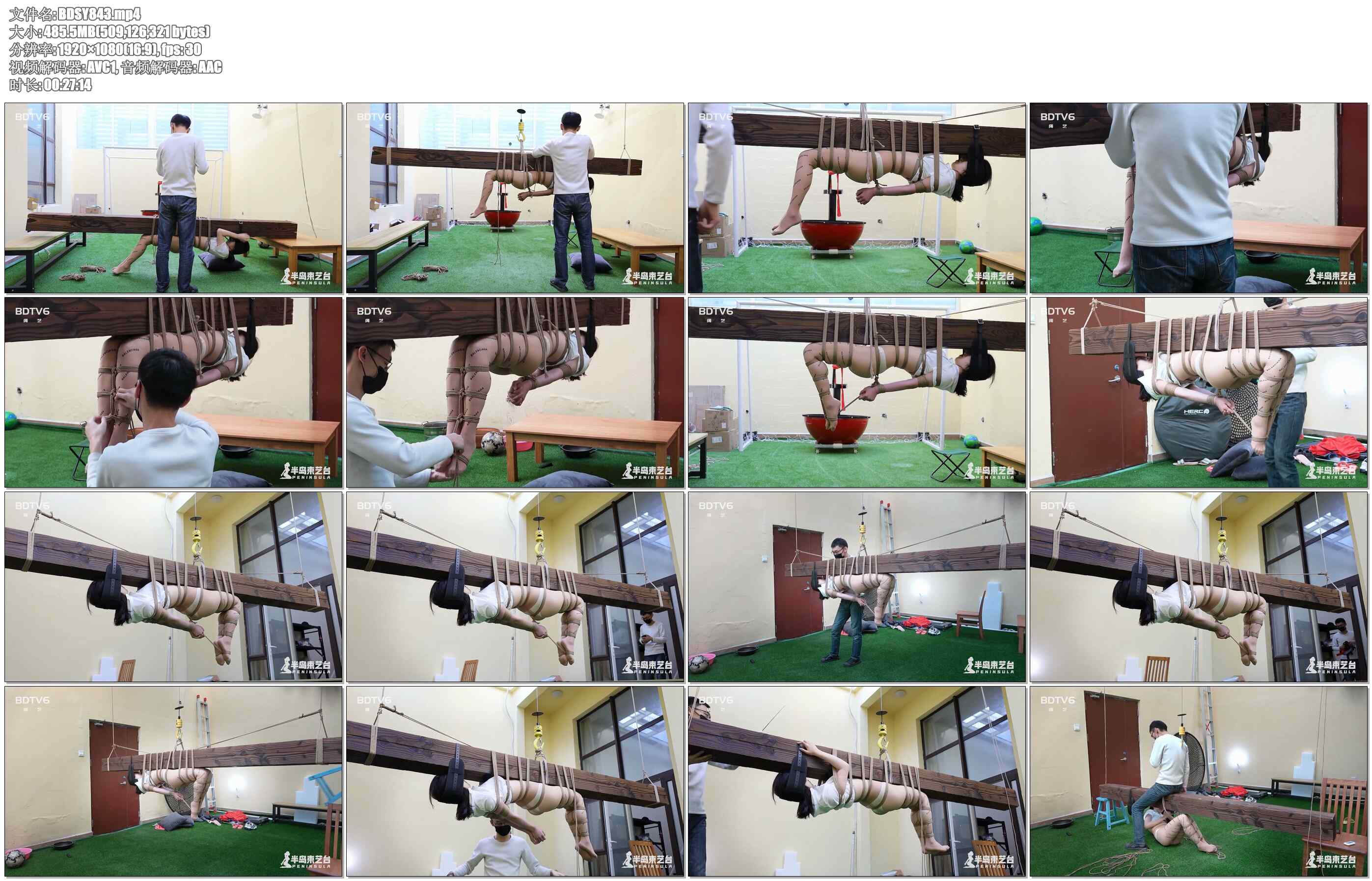 【半岛束艺】你一定没见过这样的驷马