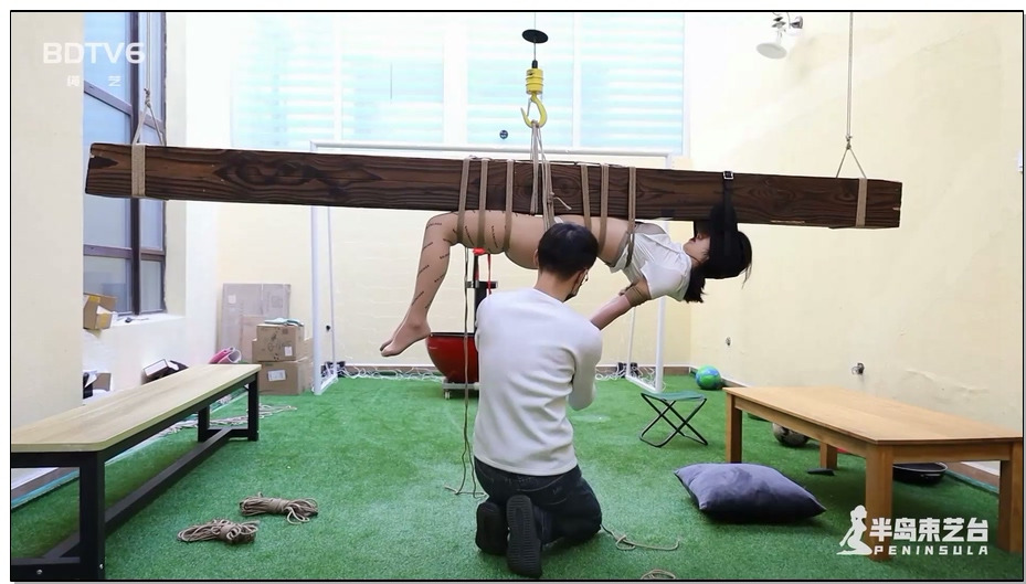 【半岛束艺】你一定没见过这样的驷马