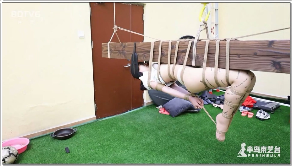 【半岛束艺】你一定没见过这样的驷马