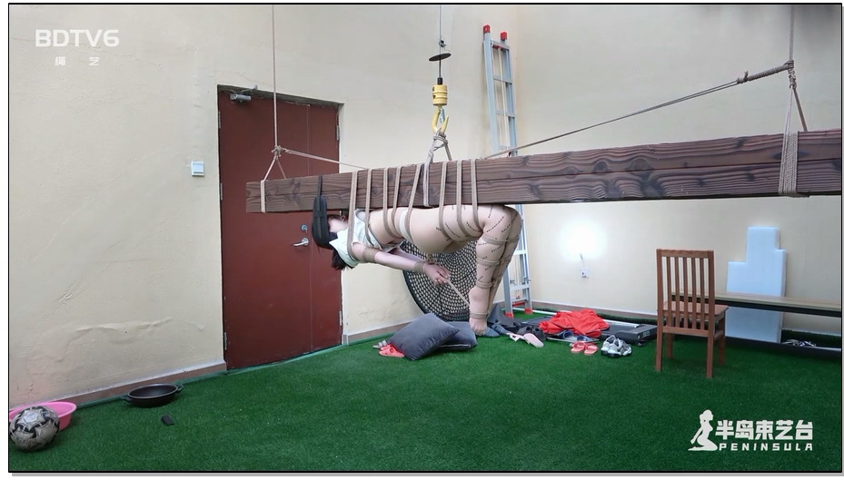 【半岛束艺】你一定没见过这样的驷马