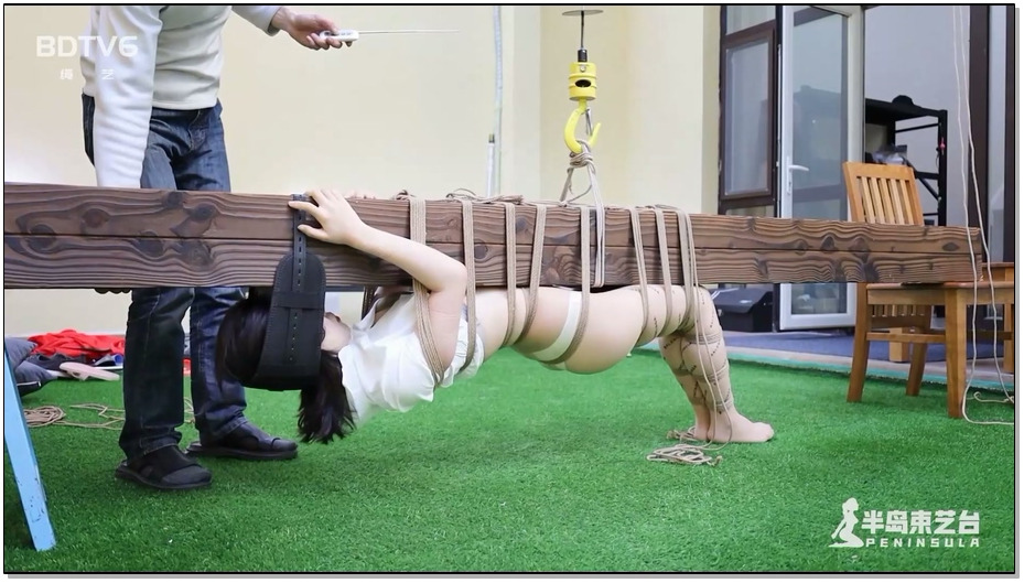 【半岛束艺】你一定没见过这样的驷马