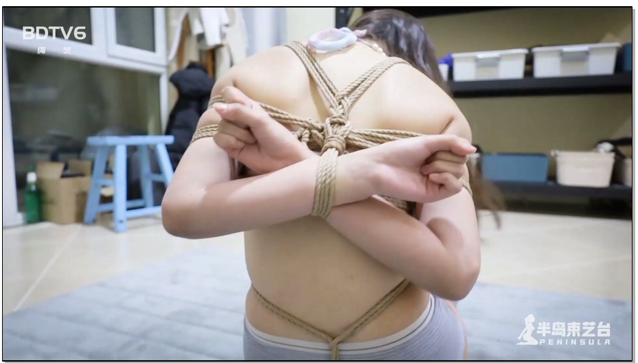 【半岛束艺】糖醋人鱼