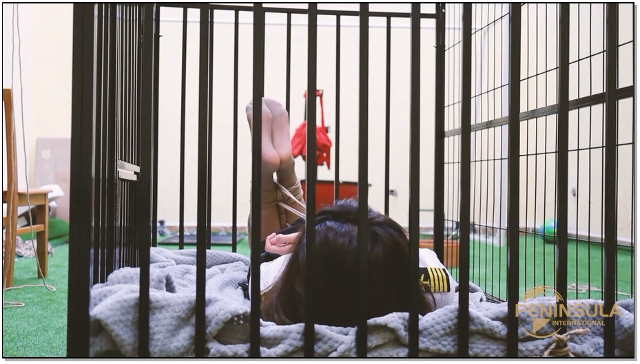 【半岛束艺】神奇的画笔 2 