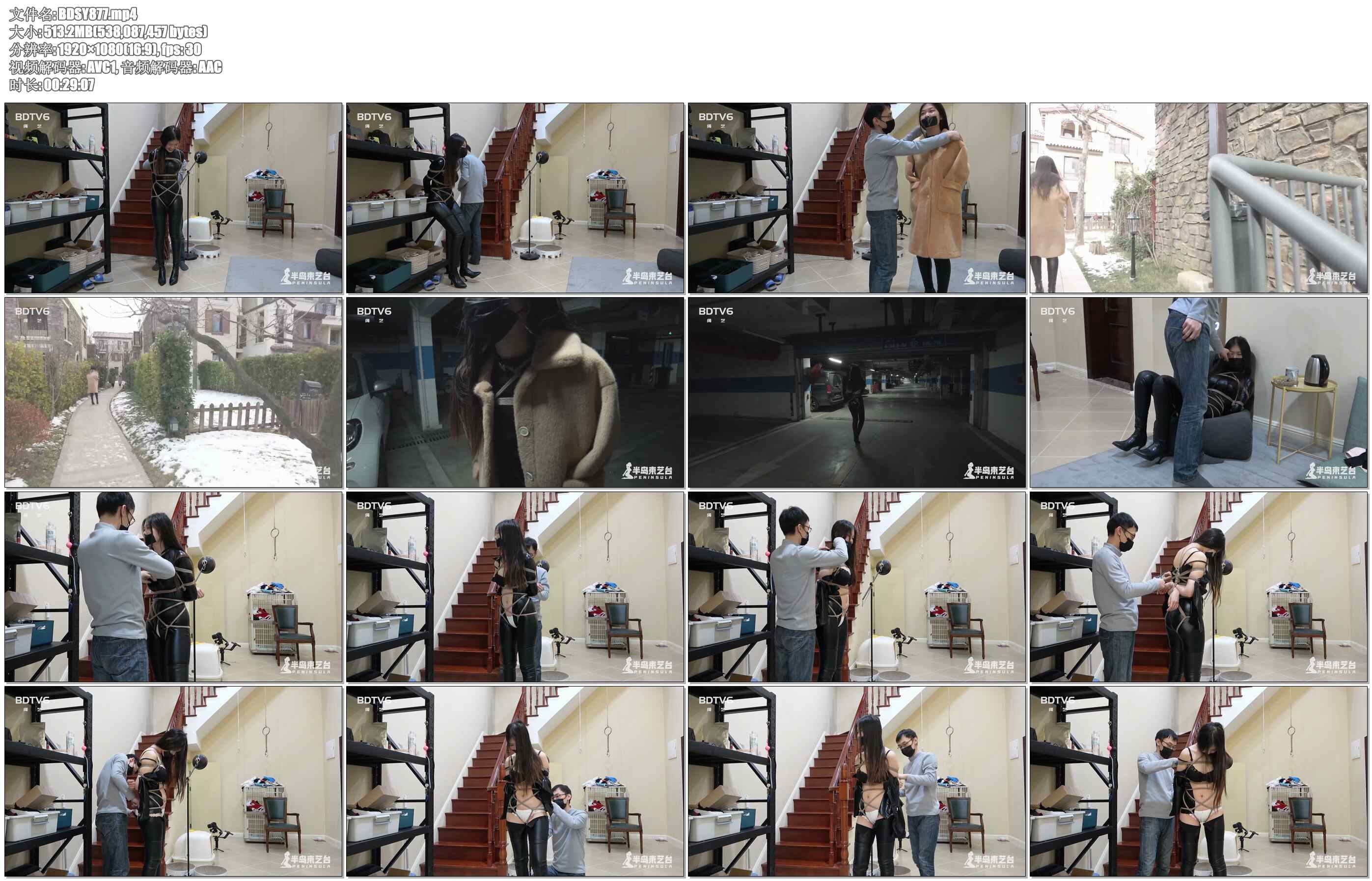 【半岛束艺】佐伊 地库里的黑暗精灵