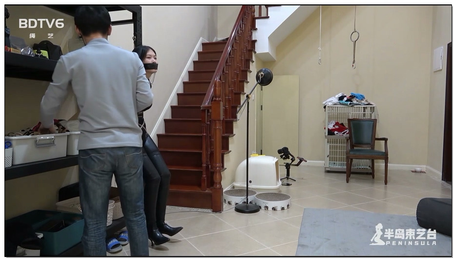 【半岛束艺】佐伊 地库里的黑暗精灵