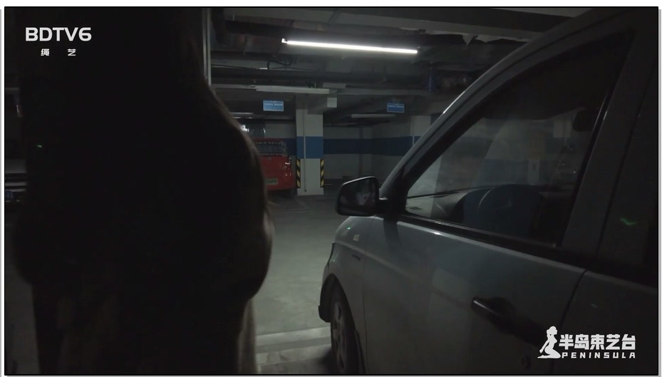 【半岛束艺】佐伊 地库里的黑暗精灵