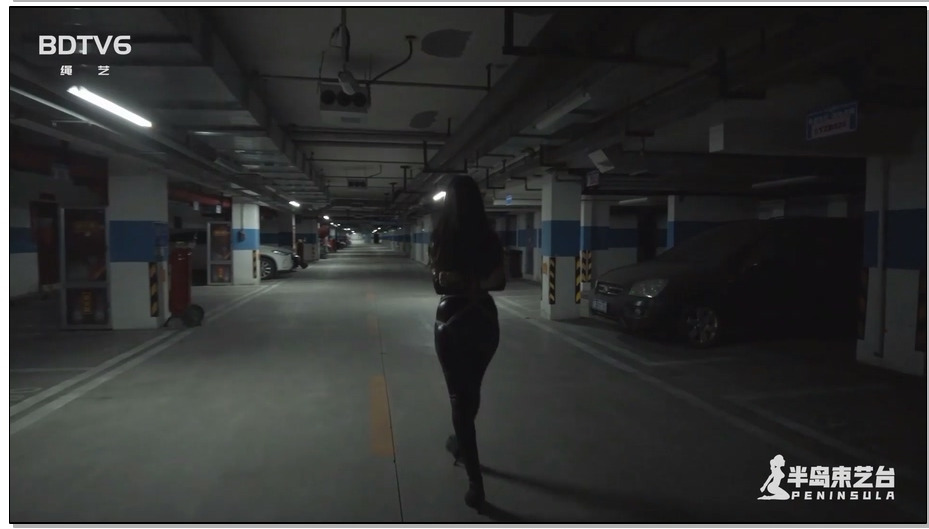 【半岛束艺】佐伊 地库里的黑暗精灵