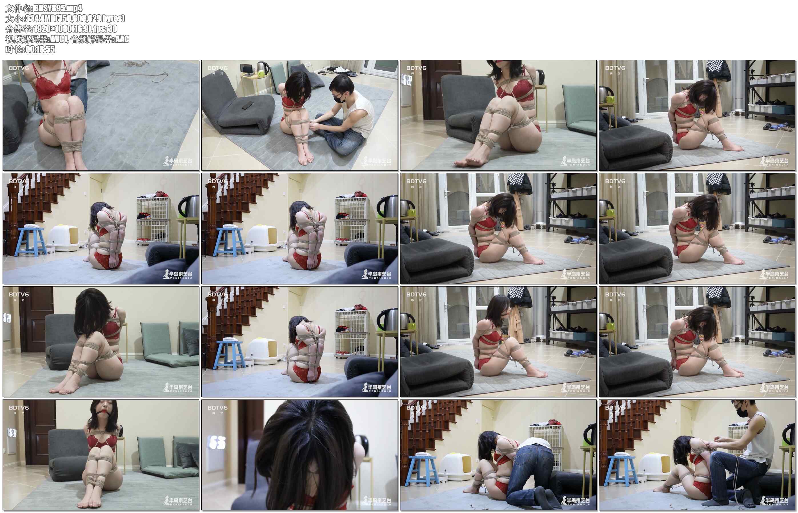 【半岛束艺】全能小偷2