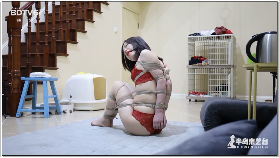 【半岛束艺】全能小偷2