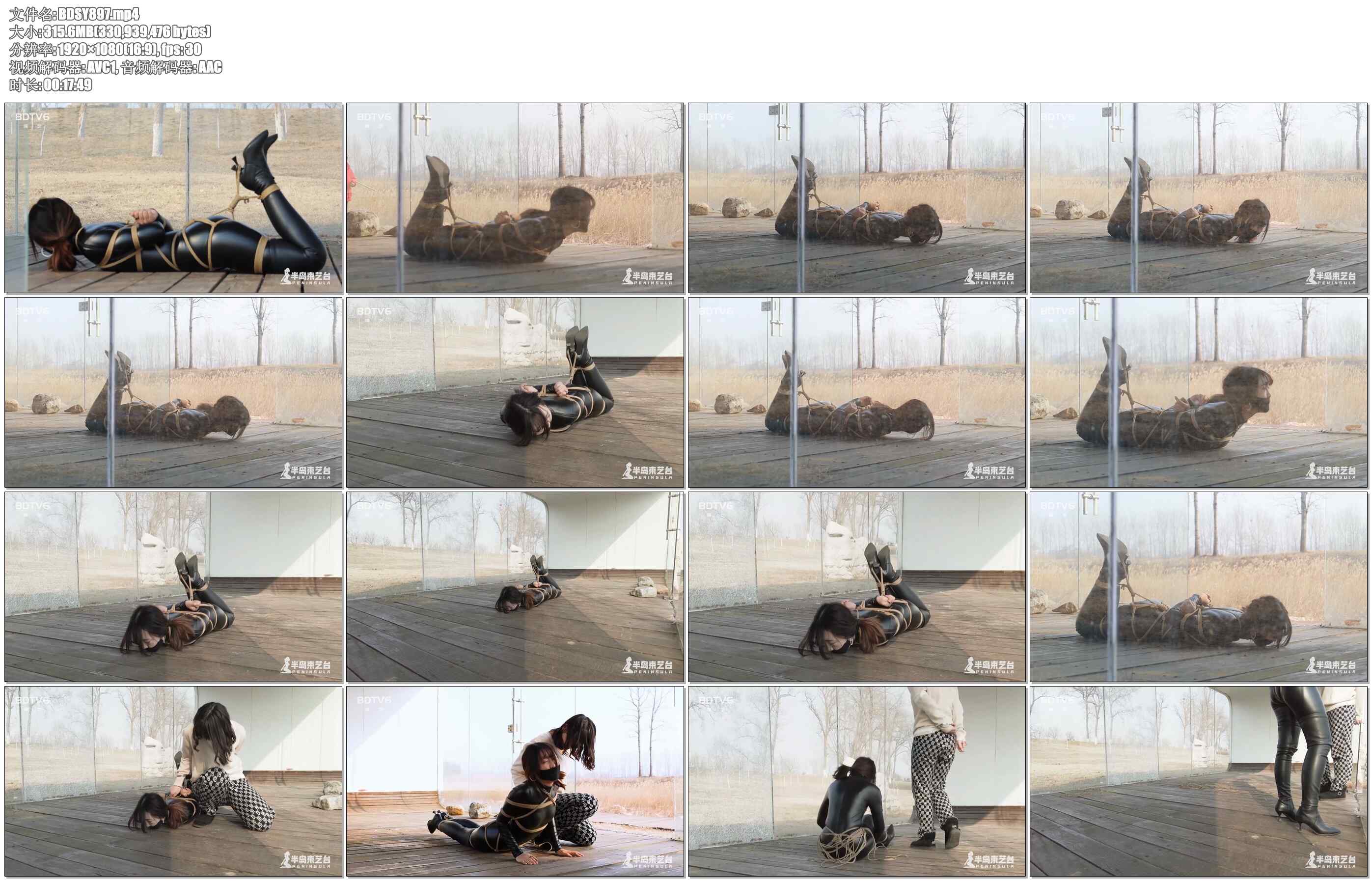 【半岛束艺】布玛公园橱窗放置，游人保安纷纷侧目