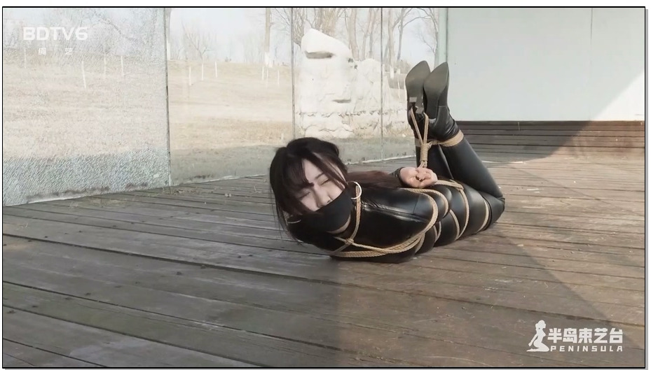 【半岛束艺】布玛公园橱窗放置，游人保安纷纷侧目