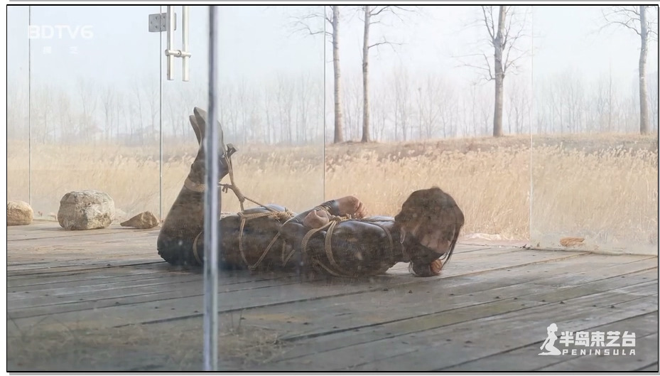 【半岛束艺】布玛公园橱窗放置，游人保安纷纷侧目