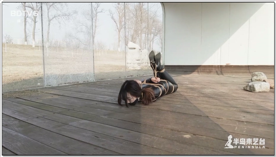 【半岛束艺】布玛公园橱窗放置，游人保安纷纷侧目