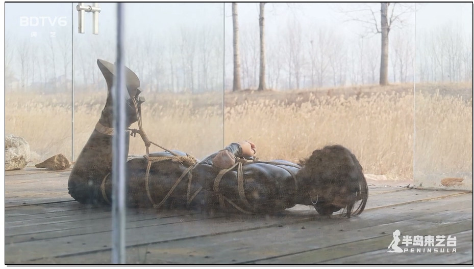 【半岛束艺】布玛公园橱窗放置，游人保安纷纷侧目